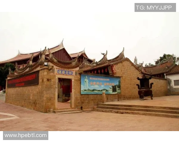 聚焦世界足球巨星成长之路与赛场传奇故事全景深度权威解析精彩篇章